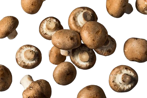 How to Freeze Fresh Mushrooms